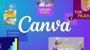Canva for Flier Creation